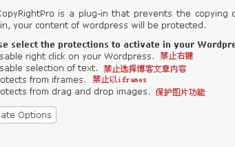 WordPress禁止右键防复制插件 WP-CopyRightPro