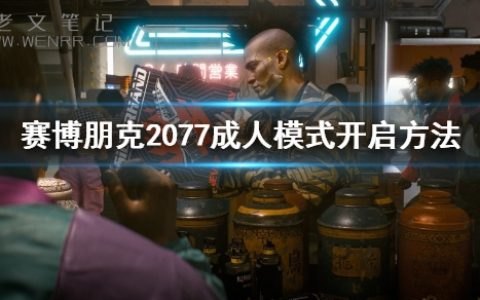 《赛博朋克2077》成人模式怎么开启 成人模式开启方法